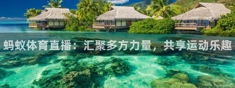 酷玩直播飞速直播低调看nba直播：蚂蚁体育直播：汇聚多方力量，共享运动乐趣