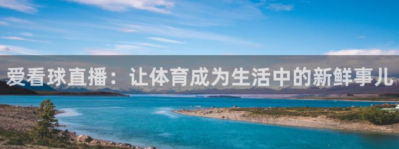 飞速直播体育nba无插件：爱看球直播：让体育成为生活中的新鲜事儿