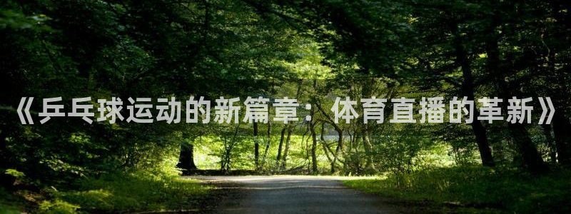 飞速直播体育在线观看：《乒乓球运动的新篇章：体育直播的革新》