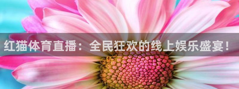 nba在线观看免费观看飞速直播：红猫体育直播：全民狂欢的线上娱乐盛宴！