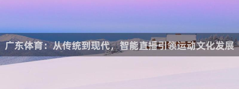 nba飞速直播无插件：广东体育：从传统到现代，智能直播引领运动文化发展