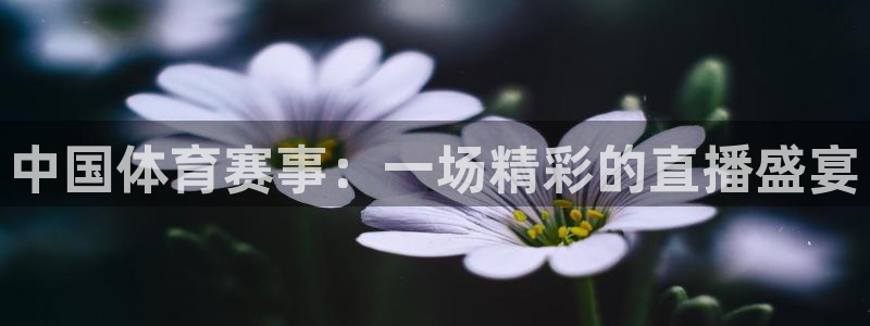 飞速直播体育cba：中国体育赛事：一场精彩的直播盛宴