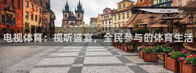 飞速体育无插件直播nba高清：电视体育：视听盛宴，全民参与的体育生活