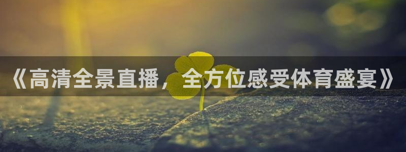 飞速nba在线直播：《高清全景直播，全方位感受体育盛宴》