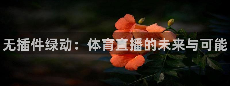 nba直播飞速：无插件绿动：体育直播的未来与可能