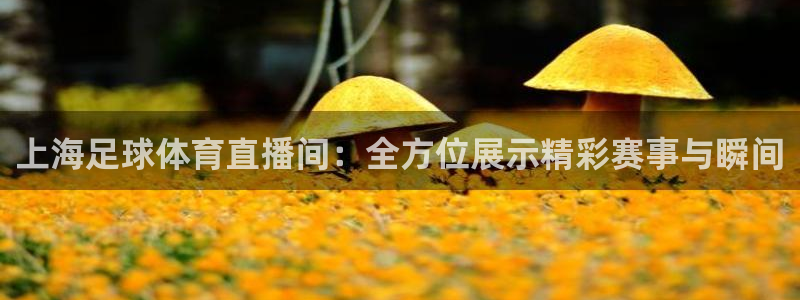 飞速nba在线直播：上海足球体育直播间：全方位展示精彩赛事与瞬间