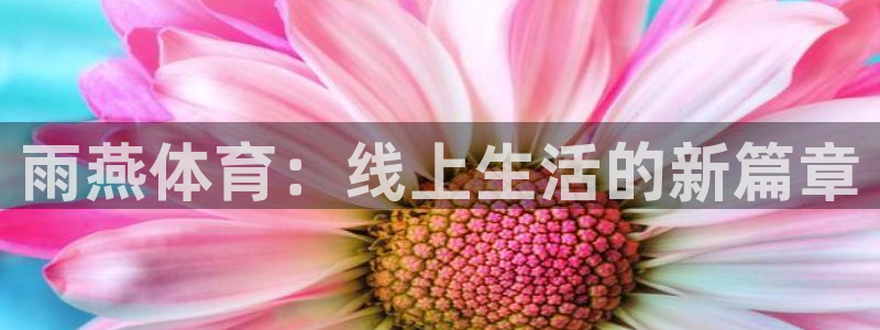 飞速nba直播：雨燕体育：线上生活的新篇章